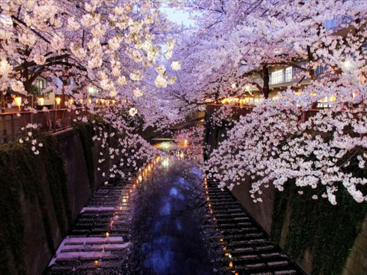 First Cabin Nishiazabu Токио Экстерьер фото